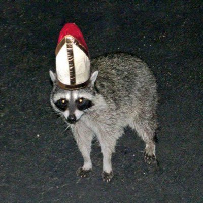 _Rust1v1_'s profile picture. 2008 Highrise 1v1 Champion, BTR Stan