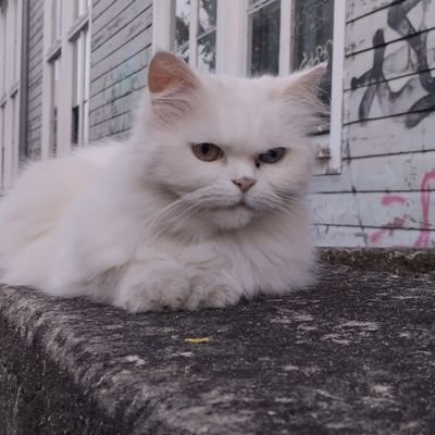 Isak Profile