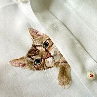 Bullachipapa's profile picture. 