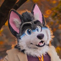 Warrick (@warrickwolfe) 's Twitter Profile