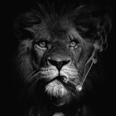 codes45's profile picture. In the crypto trenches. $BTC