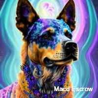 macdmrscrowe's profile picture. Nft artist  💥nft promoter💥  12 hours grind .proud to be part of a great team of nft promoters & collectors