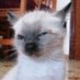 :D :D (@dd9113473811079) Twitter profile photo :D :D (@dd9113473811079) Twitter profile photo