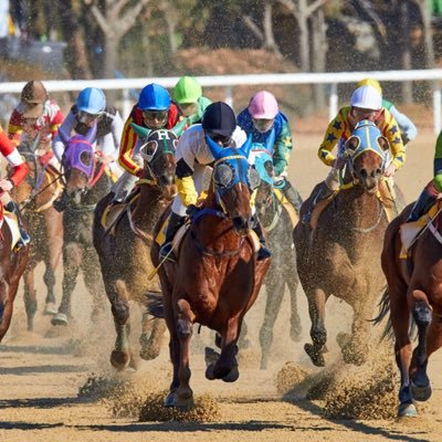 USA EV+ horse racing // 800u + since November 2024 (53%ROI) TRACKER BELOW👇