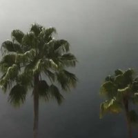 #1 ๐๐๐๐๐๐ (@jayzilla___) 's Twitter Profile