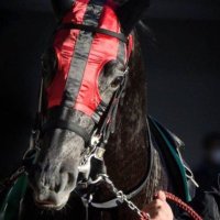 孤独の馬券師 (@nr4cs8bxvb70901) 's Twitter Profile