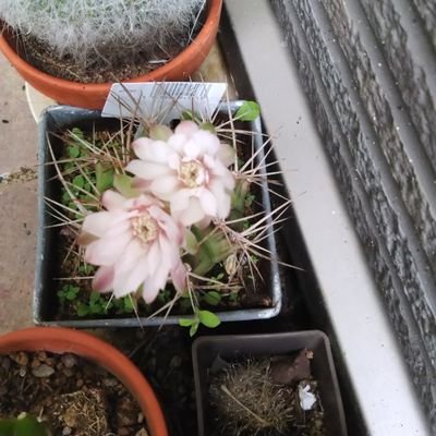 OSWp4luaVrbpMbT's profile picture. 