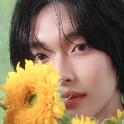 Wannabin32's profile picture. 나의 뮤즈 #원빈 🩵🐈‍⬛ ᴏɴᴇ ᴋɪꜱꜱ ᴡᴏɴ ʟᴏᴠᴇ!🤙🏻