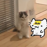 Kidrai.5mbk💹🧲 (@0xkidrai) 's Twitter Profile