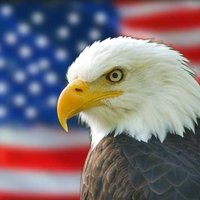 🇺🇸 Vote. 🗽🦅🇺🇸 (@updates_tracker) 's Twitter Profile