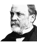 Max Haley - @maxhaley54 - Twitter