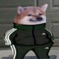 wocky slush (@subzeroyields) 's Twitter Profile