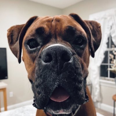 Hi! I’m Hank. My Mom, loves me so she made me this page to keep all her favorite memories of me in one wonderful place.