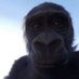 martinvlr07 (@martin424453) Twitter profile photo martinvlr07 (@martin424453) Twitter profile photo