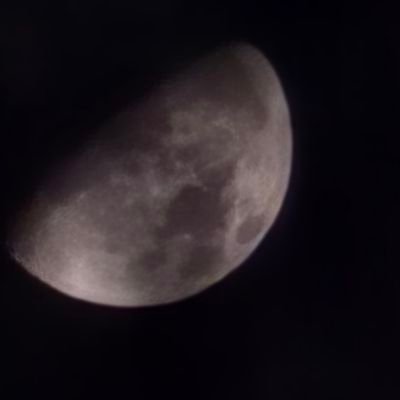 Sweetn3ss247's profile picture. 