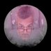 ColganLives๐๐ (@kcolganlives) Twitter profile photo ColganLives๐๐ (@kcolganlives) Twitter profile photo