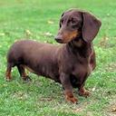 Frank Baylor - @frank_baylor - Twitter