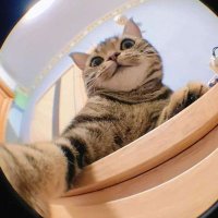 khaled_wo7 (@khaled_w07) 's Twitter Profile