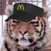 🥪🔞 (@lardasstiger) Twitter profile photo 🥪🔞 (@lardasstiger) Twitter profile photo