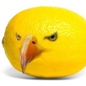 Lemoneagle0's profile picture. 