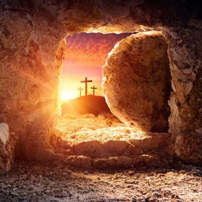 PamelaJaneWade1's profile picture. 