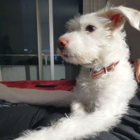 María Pérez (@call_myagent) 's Twitter Profile