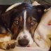 Susie Q (@gefrin11) Twitter profile photo Susie Q (@gefrin11) Twitter profile photo