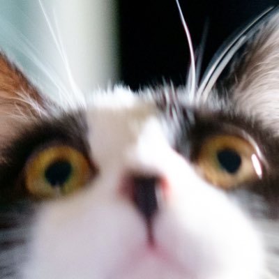 chromaさんのプロフィール画像