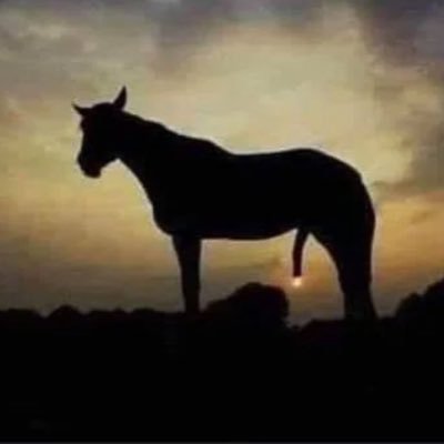 Nathan25687391's profile picture. Just here waiting