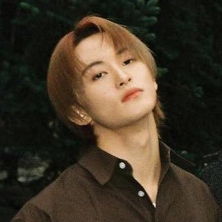 šš¾šāšØ Mark Leeļø° His exceptional singing abilities, electrifying dance moves and infectious energy have made him crowd favorite