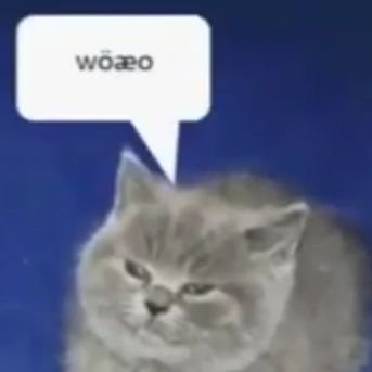 Woaeo3's profile picture. rhythm game player, audiophile