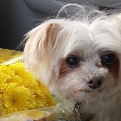 BethHyson's profile picture. Blessed Assurance Jesus is Mine! Oh what a foretaste of Glory Divine! Watching and Waiting and Looking Above! Born of His Spirit and Washed in His Blood!🎶🎶🎵