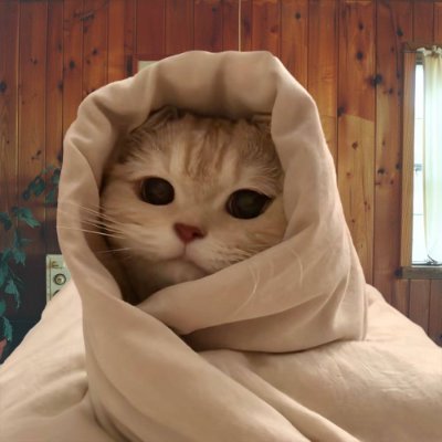 ions_persona's profile picture. software developer by trade, wannabe philosopher by vocation