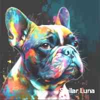 Stellar Luna (@lunastlllare76) 's Twitter Profile