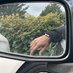 whores_only (@whoreso_) Twitter profile photo whores_only (@whoreso_) Twitter profile photo