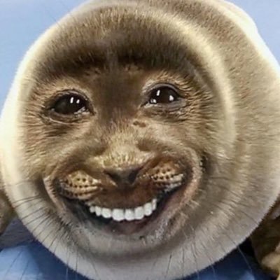 robert89990106's profile picture. 