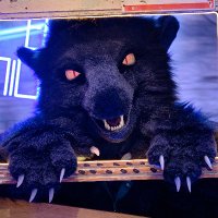nachtdrache.bsky.social (@nachtdrache_k) 's Twitter Profile