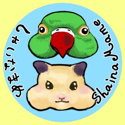 しゃいなまめ　ShainaMameさんのプロフィール画像
