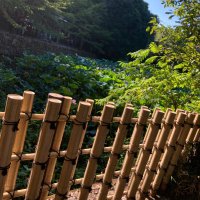 ら (@hikaru03172946) Twitter profile photo