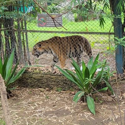 _deeepaksaini's profile picture. Ram Ram