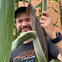 Oscar (@oscamab) 's Twitter Profile