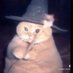 n4nd4 (@ssssafwr) Twitter profile photo n4nd4 (@ssssafwr) Twitter profile photo