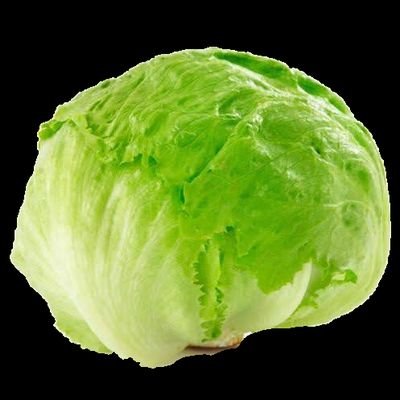 Nada_lettuce's profile picture. 
