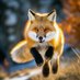 Freedom Fox 🇺🇸 (@sentientalgos) Twitter profile photo Freedom Fox 🇺🇸 (@sentientalgos) Twitter profile photo