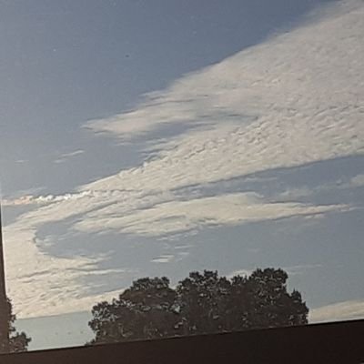 Jamari97185782's profile picture. 