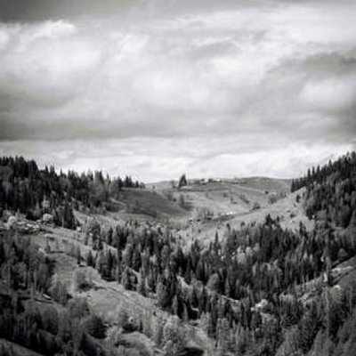 BalsleyF7939's profile picture. 