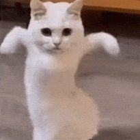 Hi... I'm Katcat from Korea..
You might think I like cat.. That's true..
I'm small game developer 😂
Need 200 follower for today..
help me by cliking follow..