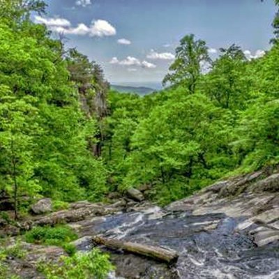 CollingsSa77631's profile picture. 