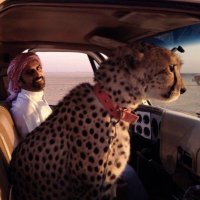 بلاير (@_player_0) 's Twitter Profile