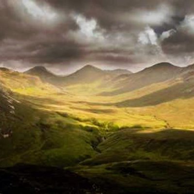 JamikaMand81486's profile picture. 